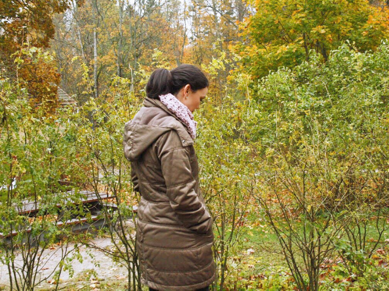 Finlândia, outono, atrações, ruska, Helsinki