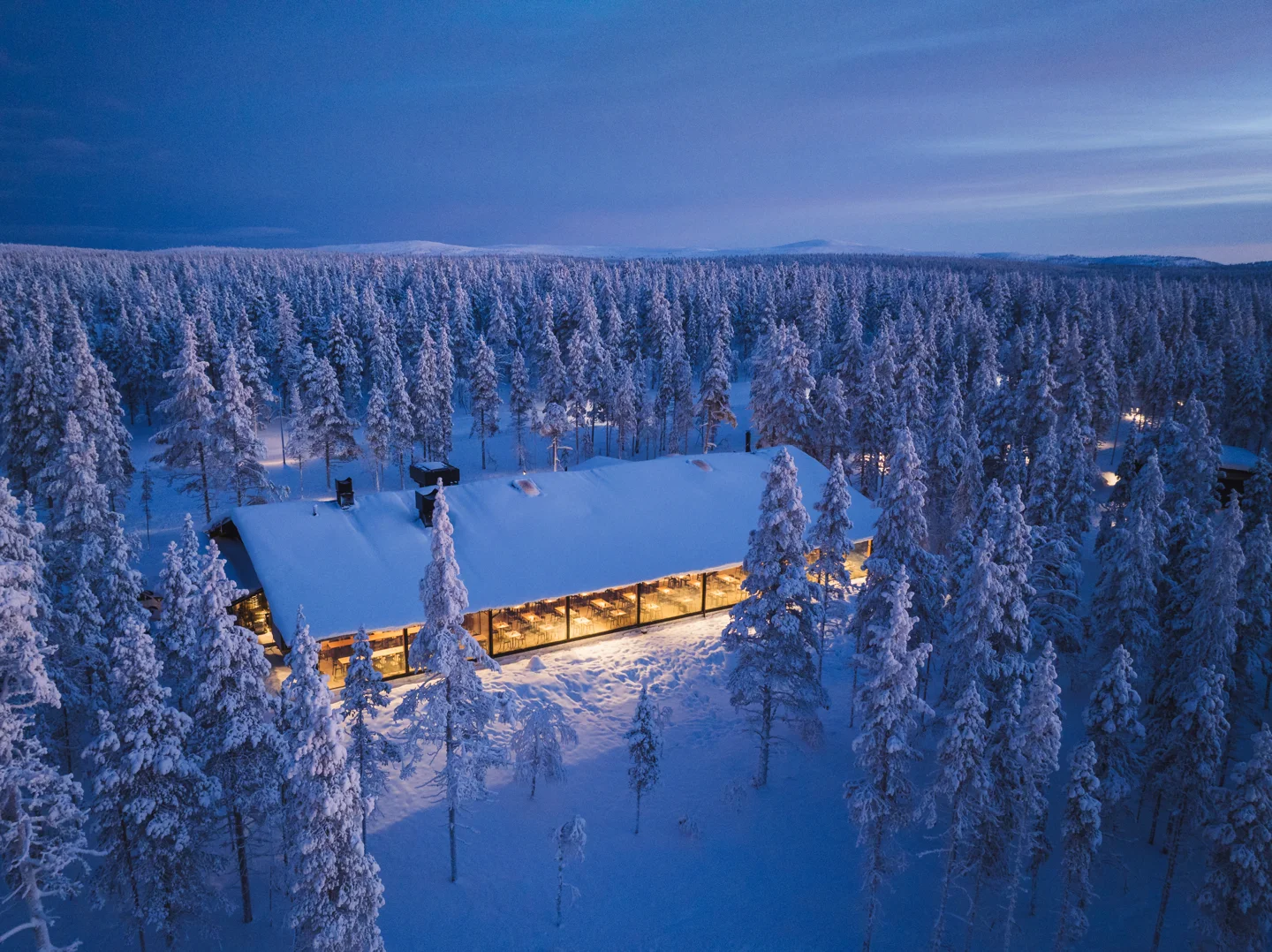Floresta nevada envolvendo a hospedagem em Saariselkä